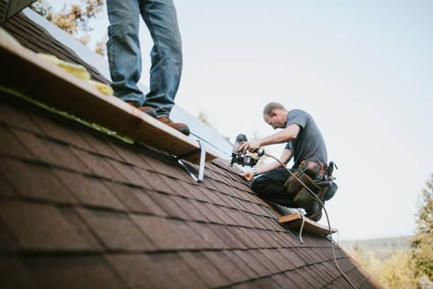 Quick and Trustworthy Emergency Roof Repair Services in Cold Spring, KY
